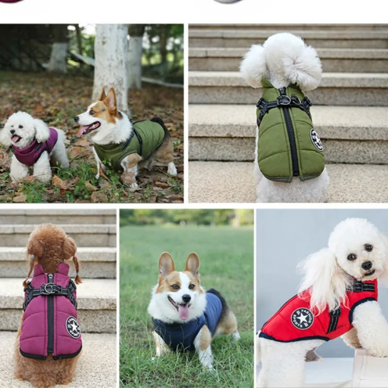 Pet Dog Jacket with Harness Ring Winter Warm Vest Dog Clothes for Small Dog Waterproof Coat Chihuahua French Bulldog Outfits